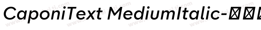CaponiText MediumItalic字体转换